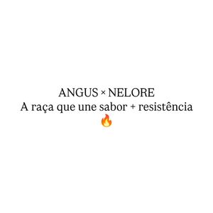 Image post by @josinaldohumberto on Instagram