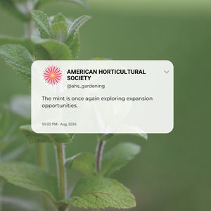 Image post by @ahs_gardening on Instagram