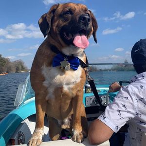Image post by @retroboatrentalsatx on Facebook