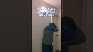 Video post by @iesabroad on YouTube