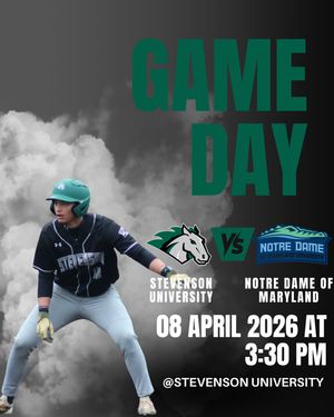 Image post by @stevensonbsb on Instagram