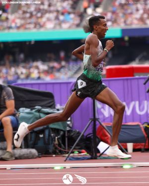 Image post by @dyestat on Instagram