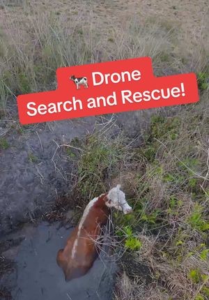 Video post by @luissantanaphoto on TikTok