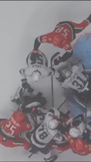 Video post by @hockeyfights on Instagram
