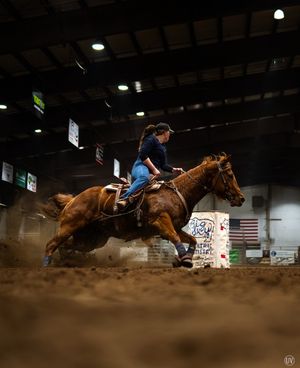 Image post by @cowgirlmagazine on Instagram