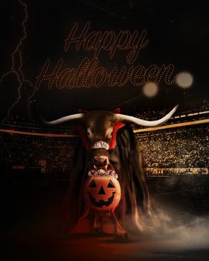 Image post by @texaslonghorns on Instagram