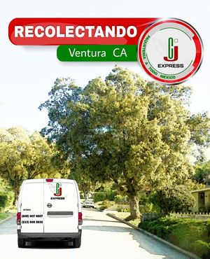 Image post by @cjexpress.paqueteria on Facebook