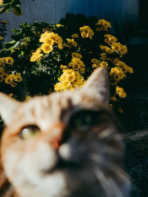 Image post by @fubiz on Instagram