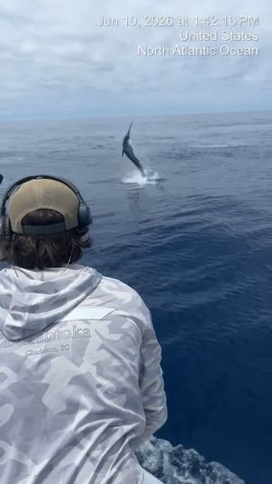 Image post by @hcbyachts on Instagram