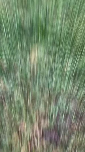 Video post by @EKUHousing on Facebook