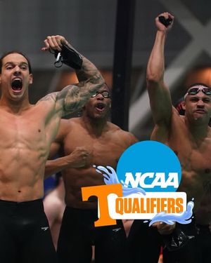Image post by @vol_swimdive on Instagram
