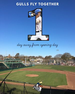 Image post by @newportgulls on Instagram