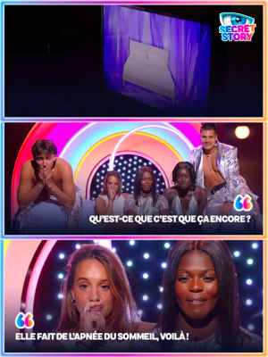 Image post by @secretstory_tf1 on TikTok