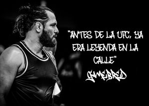 Image post by @gamebredfighter on Instagram
