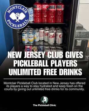 Image post by @thepickleballclinic on Instagram