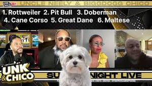 Video post by @theepregameshow on YouTube