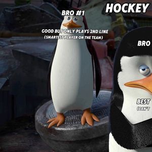 Image post by @hockeymonkey on Instagram