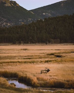 Image post by @shauns_shots on Instagram