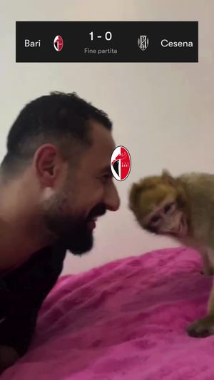 Video post by @sscalciobari on TikTok