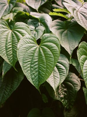 Image post by @kaufkaufkaufkaufkauf on Instagram