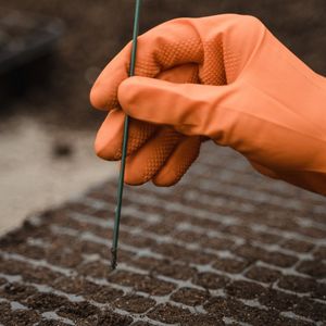 Image post by @greenhillwormfarm on Instagram