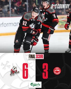 Image post by @ohlicedogs on Instagram