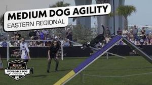 Video post by @nbcsports on YouTube