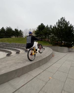 Image post by @redbullbike on Instagram