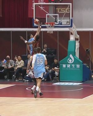 Image post by @p.league.official on Instagram