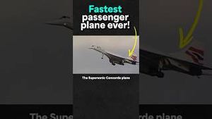 Video post by @grizzpm on YouTube