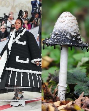 Image post by @foursigmatic on Instagram