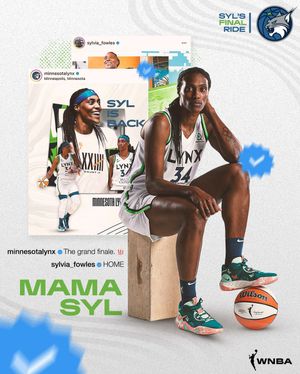 Image post by @wnba on Instagram
