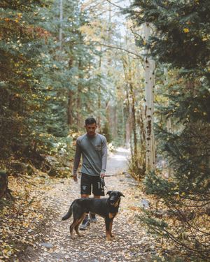 Image post by @thedukemetrocenter on Instagram