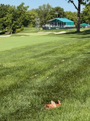 Image post by @memorialgolf on Instagram
