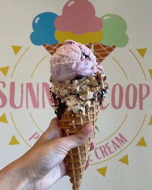 Image post by @ScoopSanDiego on Facebook