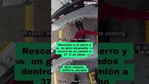 Video post by @laopinionla on YouTube
