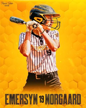 Image post by @kayleyshadedesign on Instagram