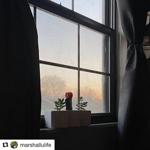 Image post by @marshallu on Instagram