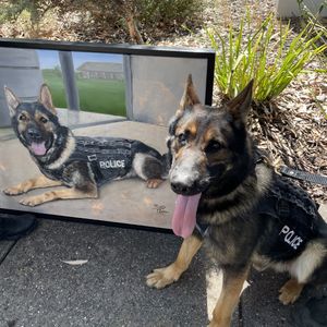 Image post by @victoriapolice on Instagram
