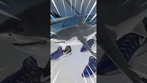 Video post by @isilent on YouTube