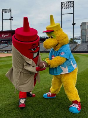 Image post by @thechicagodogs on Instagram