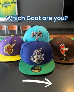Image post by @hartfordyardgoats on Instagram