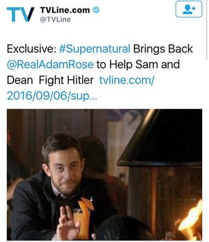 Image post by @realadamrose on Instagram