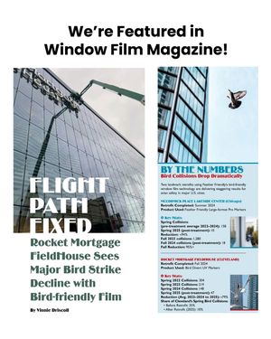 Image post by @featherfriendly on Instagram