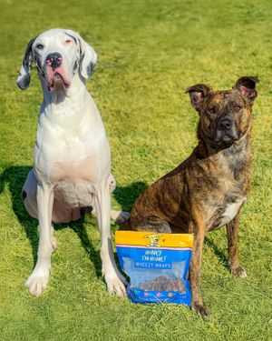 Image post by @honeyimhome on Instagram