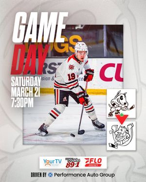 Image post by @ohlicedogs on Instagram