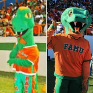 Image post by @famuathletics on Instagram