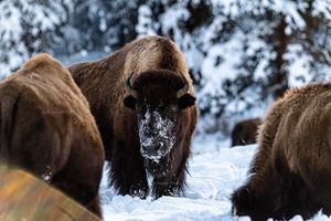 Image post by @jackpowerphotography on Instagram