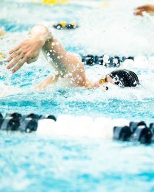 Image post by @ithacaswimdive on Instagram