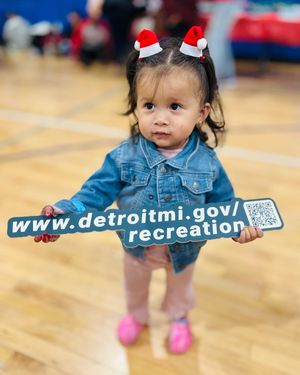 Image post by @detroitparksrec on Instagram